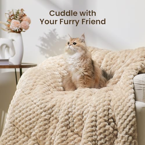 Image of Drewin 20lbs Weighted Blanket Queen Size, Double-Sided Cozy Fluffy Jacquard Sherpa Weighted Blanket, Soft Adult Weighted Blankets for Couch Bed, Ceramic Beads, 60 x 80 inches, Beige