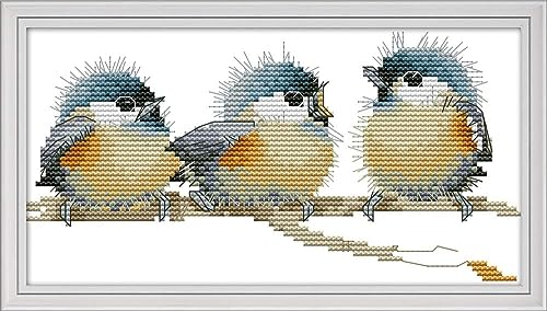 Setoda 16CT High Definition Printed Embroidery Fabric Patterns Starter Kits for Girl DIY Stamped Cross Stitch Pattern-Three Birds 16CT 8.7×4.7 (inch)