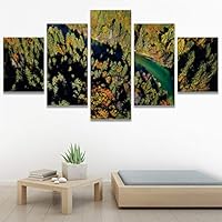 SIGNWIN 5 Panel Canvas Wall Art Modern Art Aerial Expressive Global Landscape Mountain Multicolor Photography for Home Decorations Ready to Hang - 60