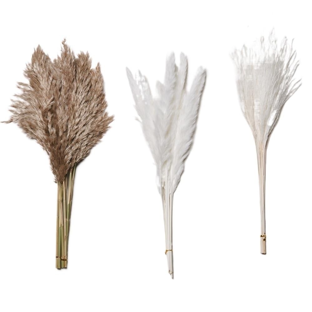 Pampasgras Deko 30 stücke Natürliche Pampasgras Bouquet Getrocknete Blumen Echt Reed Hochzeit Dekoration Weihnachten Flores Künstliche Blumen Wohnkultur Trockenblumen(AB White C Primary)