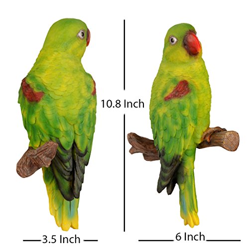 Image of Wonderland wall Parrot for Home or Garden Decor