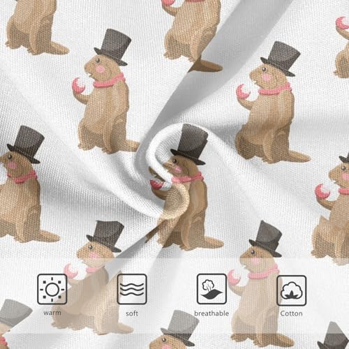 Girls' Underwear Groundhog Cotton Stretch Comfort Toddler Panties3