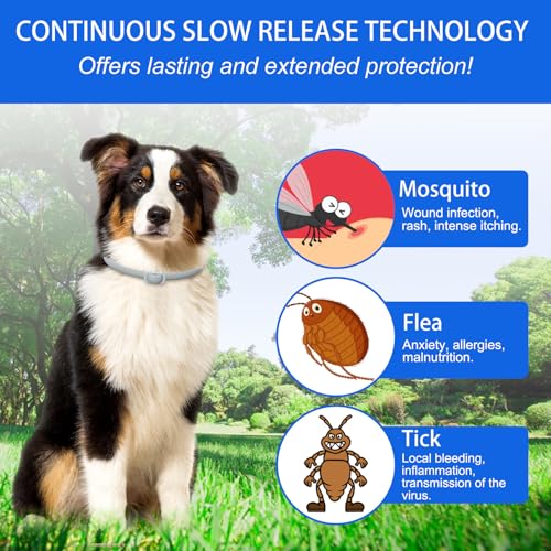 Collari Antipulci per Cani, Confezione da 4 Collari Antipulci per Cani con Protezione Efficace per 24 Mesi, Impermeabili, Regolabili per Taglia Piccola, Media e Grande