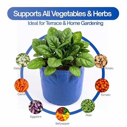 Image of Bio Blooms Round HDPE Plant Grow Bag for Terrace & Kitchen Gardening | Pack of 1 | 9x12 | 350 GSM Heavy Duty Outdoor Grow Bag | Durable Planter for Vegetables, Flowers & Plants | Blue