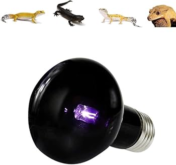 Amazon.co.jp: ShiawaseforU 爬虫類ライト 亀 ナイトライト