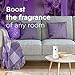 Glade Automatic Spray Refill, Air Freshener for Home and Bathroom, Lavender & Vanilla, 6.2 Oz, 2 Count