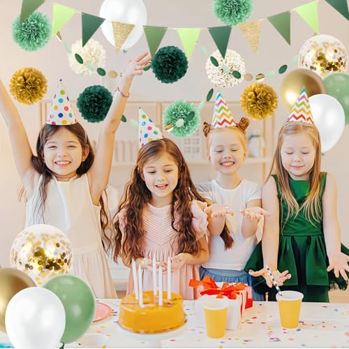 Geburtstagsdeko Grün Partydeko Set 26 Stück, Seidenpapier Pompons Deko mit Grüne Girlande Luftballons Party Deko für Geburtstagsdeko Mann Frauen Hochzeitsdeko Dschungel Gartenparty Sommer Dekoration