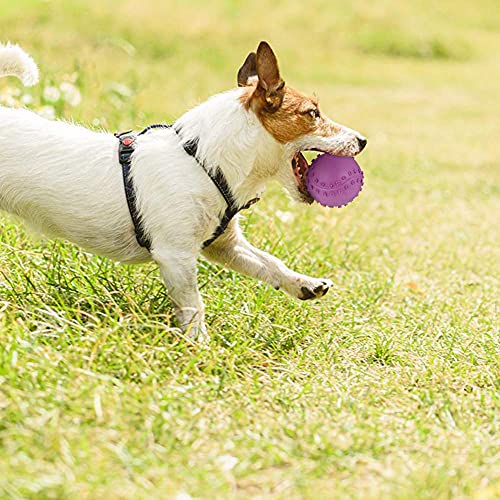 4 Pack Pet Toy Balls with Sound, Dog Squeaky Ball Sound Toys, with Non