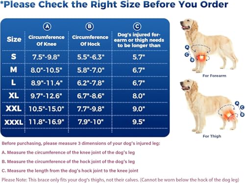 Image of Dog Hip Knee Leg Brace -Dog ACL Brace for Front Torn and Back Hind Rear Legs ACL Tear, Dog Leg Brace for Hip Dysplasia, Dog Arthritis, Luxating Patella, Comfortable and Adjustable (L)