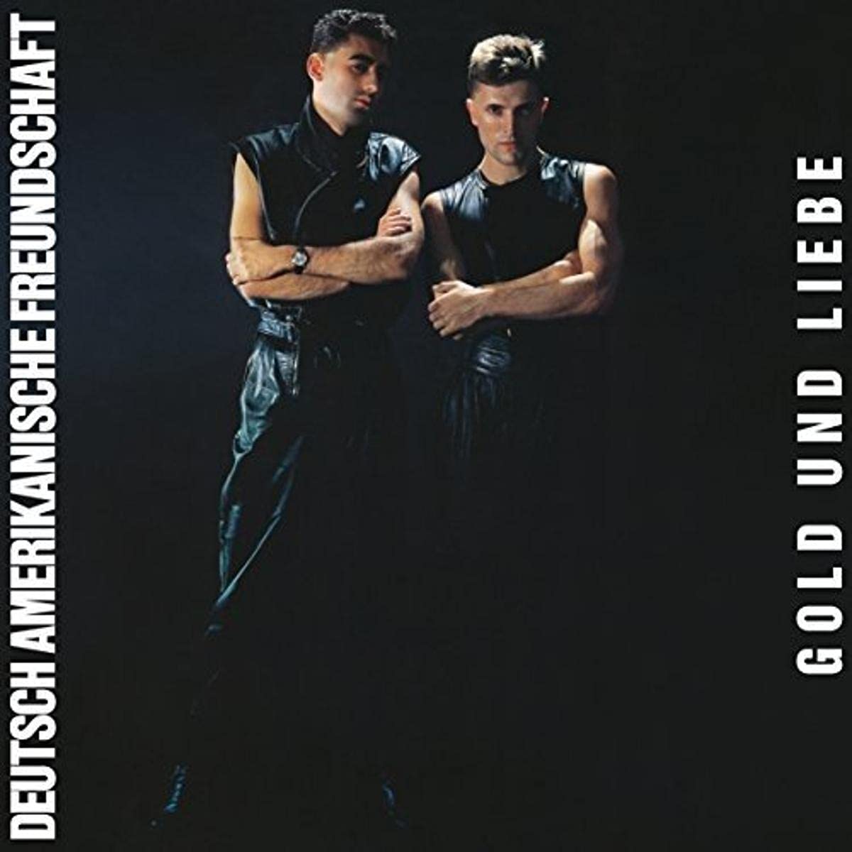 Deutsch Amerikanische Freundschaft | 12" Album | US Import, Goldfarben