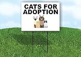 Cats For Adoption With Picture Single Sided 18X24