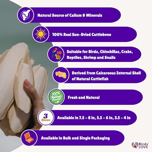 image for Birds LOVE Natural Cuttlebone | 100% Pure Sun-Dried Calcium Supplement