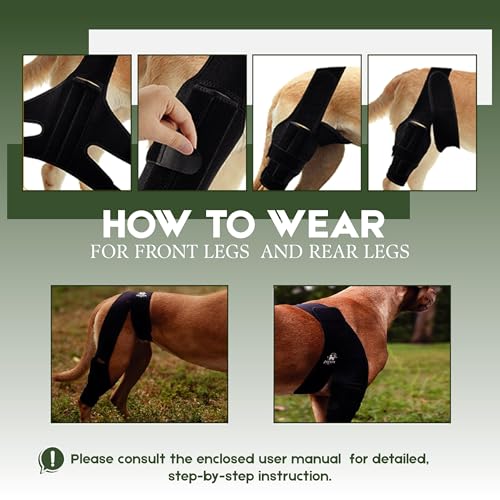 Image of Adjustable Dog Knee Brace for Torn ACL and Luxating Patella - Support for Back Leg, Hip Dysplasia, and Post-Surgery Recovery. Optimal Comfort and Stability for Your Beloved Pet