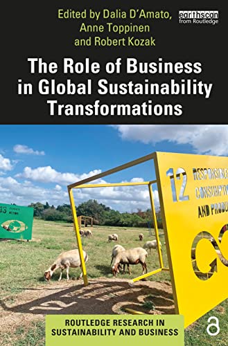 The Role of Business in Global Sustainability Transformations (Routledge Research in Sustainability and Business)