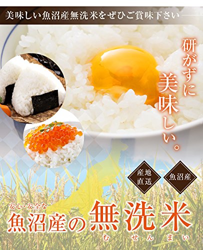 Amazon.co.jp: 令和7年産 無洗米 新潟県南魚沼産 JAみなみ魚沼農協