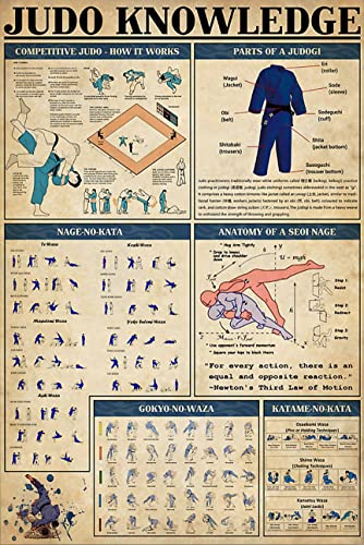 Funny Retro Metal Tin Sign Judo Knowledge Poster Competitive Judo How It Works House Warming Gift Home Poster Wall Decor Arts Decor Waterproof Plate Decoration Home Decor 8"x12"