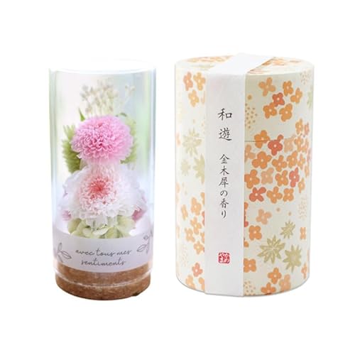 ԗR  ԂƐZbg  vU[uht[ in KX ~j{g isNj   aV i؍ҁj~ ~  dp uU[ht[