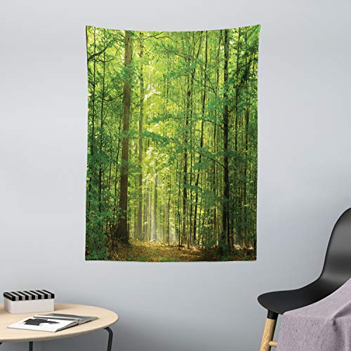 Dorm Decor The Best Amazon Price In Savemoney Es