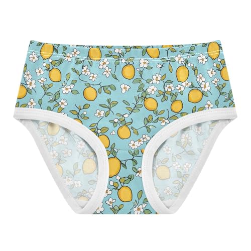 Wusikd Cute Lemon Girls' Underwear Cotton Light Blue Girls Briefs Soft Toddler Underwear 2T - Main Image