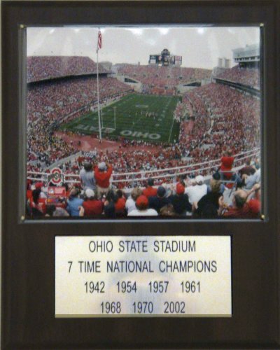 NCAA Football Ohio Stadium Stadium Player Plaque