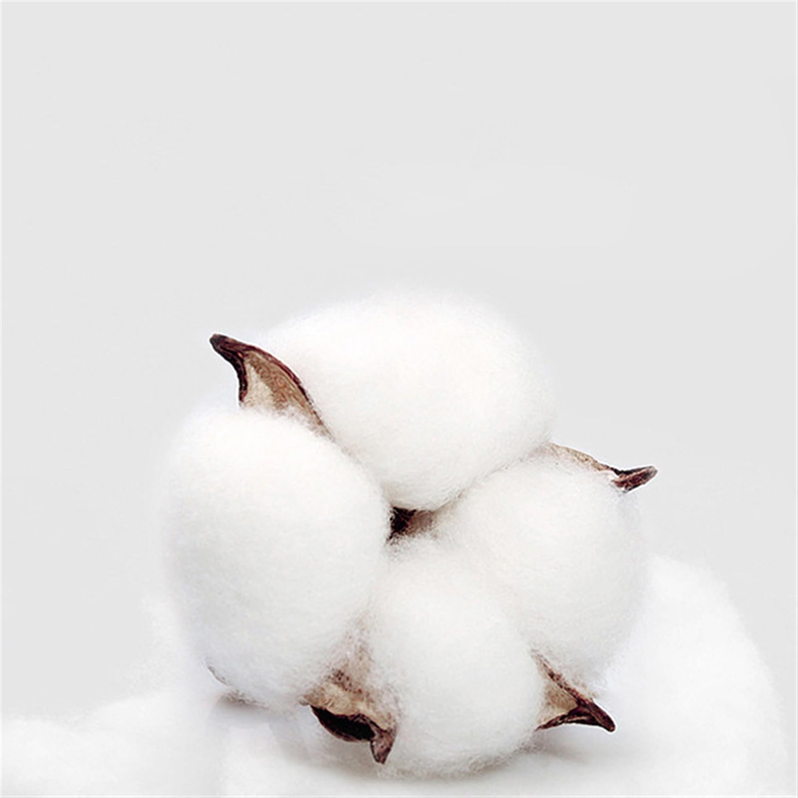 GIBZ Taie d'oreiller en Coton Lot de 2 Taie Oreiller Lavables en Machine Format Housse Coussin Vert 3 48x74cm