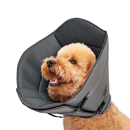 Dog Cone Collar The 15 best products compared Wild Explained