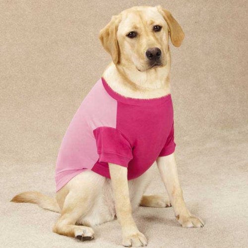 Guardian Gear Insect Shield Tee for Dogs, Small/Medium, Blue