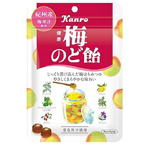 Amazon.co.jp: カンロ 健康梅のど飴 90g×6袋×4箱 : 食品・飲料・お酒