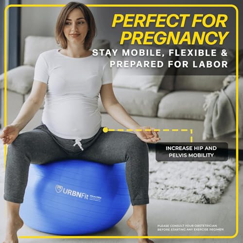 Ceciliec Exercise Ball Anti-Burst Balance Ball for Gym Yoga Pregnancy Stability Swiss Ball with Quick Pump - Image 5