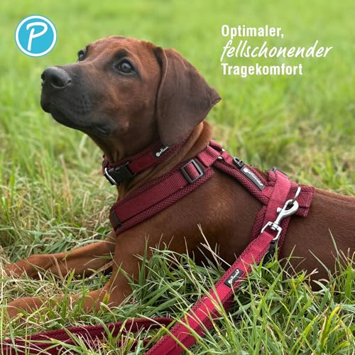 Petlando Hundegeschirr Mesh Y-Comfort, komfortabel, leicht & atmungsaktiv, stufenlos einstellbar, Farbe Bordeaux, Größe M (Halsumfang 46-74 cm, Brustumfang 50-74 cm), Brustgeschirr Hund mittelgroß
