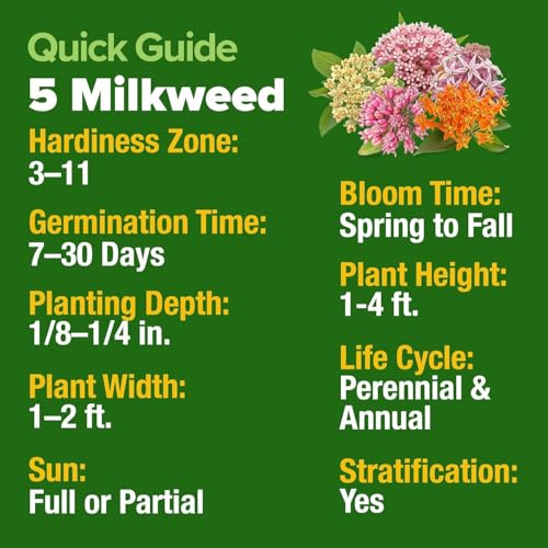 Image of HOME GROWN Milkweed Flower Seeds - 500+ Heirloom Perennial Wildflower Seeds (5 Individual Varieties) Supports Monarch Habitat, Grows in Zones 3-11 (Asclepias syriaca)