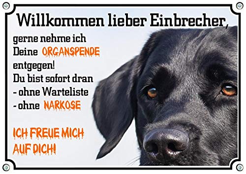 Hundeschild Labrador Retriever - Warnschild Organspende - wetterfest FUNSCHILD, DIN A4