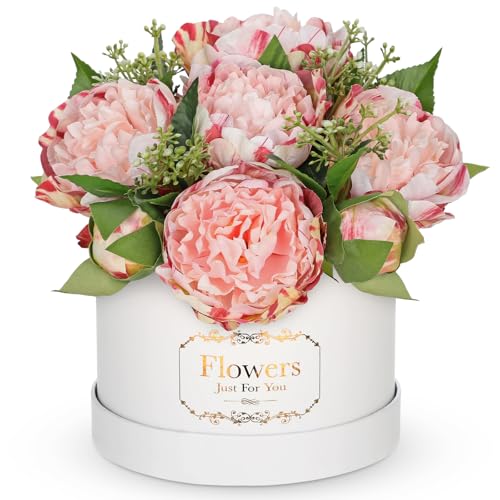 Villa Como  ԑ [Y o O A[gt[ u[P  ͂Ȃ ̓ a Ǝ LO zCgf[ VN NX}X 搶̓ v[g  {bNX (zCg)