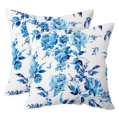 Asuexpect Blue and White Floral Pillow Covers Cover