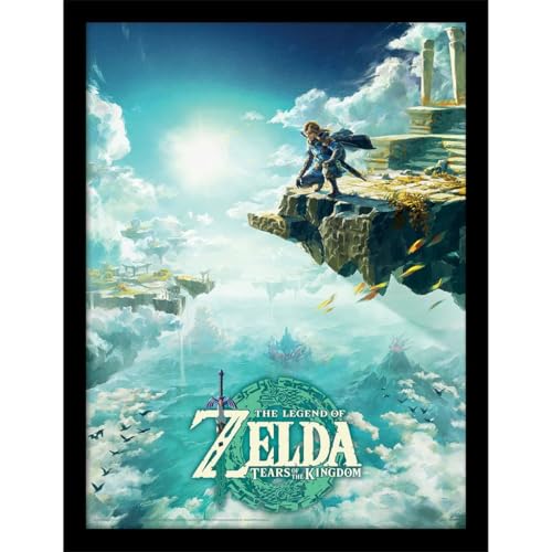 Pyramid International Poster The Legend of Zelda dans cadre (Hyrule Skies) Décoration murale dans cadre 30 x 40 cm - Produit officiel - Noir