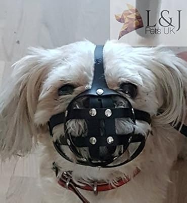 L&J Pets Uk Dog Muzzle for Shih Tzu, Pug and other flat face short snout dog's (M2, Black)
