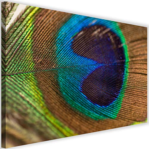 Photo sur toile XXL plume bleue Feeby 100x70 cm pour décoration murale oiseau