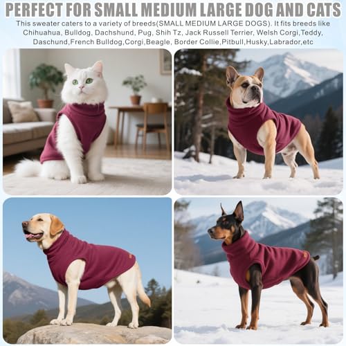 Mosucoirl Sweater für Hunde Pullover Hundebekleidung Schildkröten Hunde Sweatshirt Dicke Warme Hundepullover Pullover Hundemantel für kleine mittlere große Hund XS-4XL