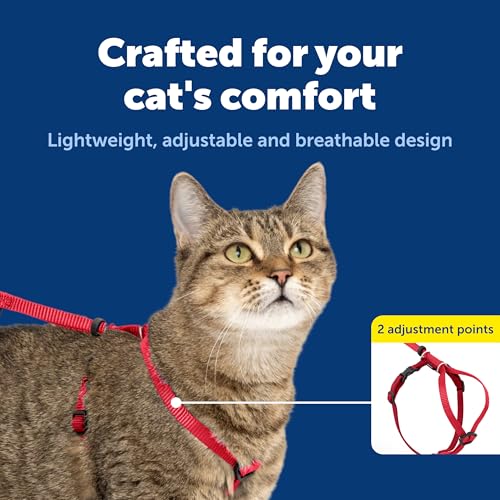 PetSafe Easy Walk Katzengeschirr, Mit elastischer Bungee-Leine, Für Spaziergänge mit Ihrer Katze, Größe L, Rot
