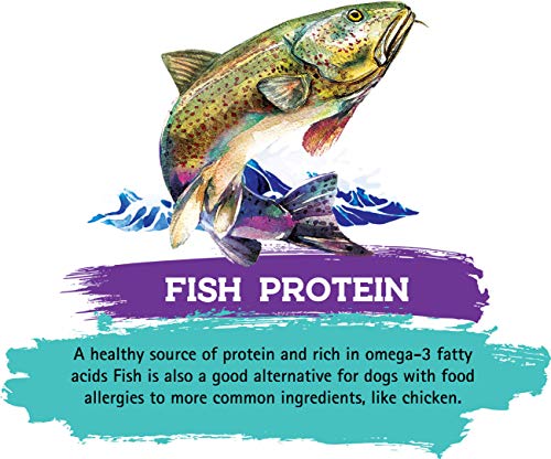 Inception 13293 ® Dry Cat Food Fish Recipe thumb #4