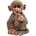 Produktbild Kare Design Deko Figur Minkey Baby Baboon, Pavian, niedliche Dekofigur, Dekoobjekt Affe, modernes Dekoaccessoire Tierfigur Affe (H/B/T) 35x23x25cm