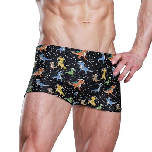 Cute Dinosaur Mens Swim Trunk Swimwear Bathing Suit Swim Brief Square Leg Board Short S B04040943