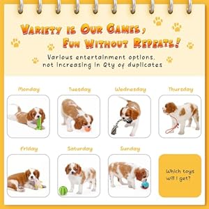 Kipritii 25 pack various puppy dog toys for teething entertainment  interaction puppy chew toys pack with rope toys treat balls and dog squeaky toys for puppy  small dogs   cucciolini doodles