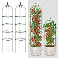 MYMULIKE 2 Pack Garden Obelisk Trellis for Climbing Plants Outdoor & Indoor - 6Ft Rustproof Garden Trellis Plant Support Cage for Vines, Flowers, Vegetables, Roses | Heavy-Duty, Adjustable