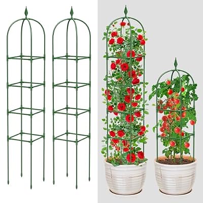MYMULIKE 2 Pack Garden Obelisk Trellis for Climbing Plants Outdoor & Indoor - 6Ft Rustproof Garden Trellis Plant Support Cage for Vines, Flowers, Vegetables, Roses | Heavy-Duty, Adjustable
