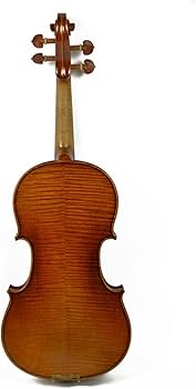 バイオリン　総額　約800,000円 アインシュタインのバイオリン、約1億7500万円で落札 亡命前に