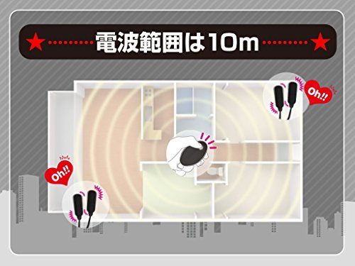 JAPANTOYZ ~Love&Leaf~ nemo W ネオ充電式リモコンツインローター ブラック - 画像3