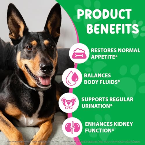 Dog Kidney Support Drops, 100% natürliche Harnwegsbehandlung für Hunde 60ml, unterstützt die Nierenfunktion und HWI Pflege Hund, Stärkung des Immunsystems