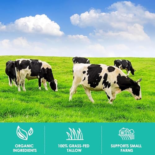 Beef-Tallow-Balm-for-Skin-Care-All-Natural-Moisturizing-Body-Oil-with-Honey-and-Beeswax-Tallow-from-Grass-Fed-Cows--Beef-Tallow-Moisturizer-Made-in-USA-20-Oz