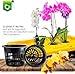 5 inch Net Pots Heavy Duty Round Cups Wide Rim Design - Orchids • Aquaponics • Aquaculture • Hydroponics Slotted Mesh (Cz All Star 10 Black Pots)
